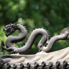 陰影是條紙龍