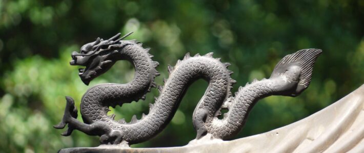 陰影是條紙龍